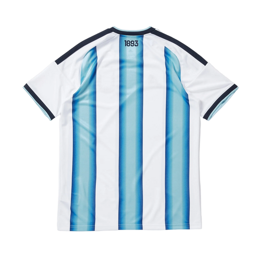 Adidas Argentina jersey