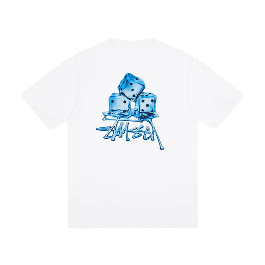 Stüssy ice cube T-Shirt white