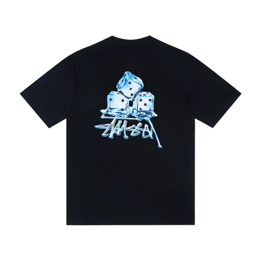 Stüssy ice cube T-Shirt black
